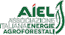 Aiel